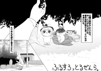 cover 6