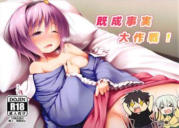 kisei jijitsu daisakusen cover